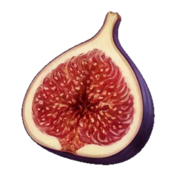 Fig