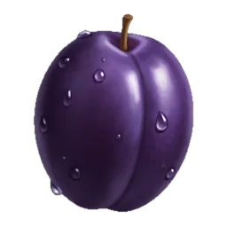 Plum